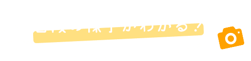 普段の様子がわかる！